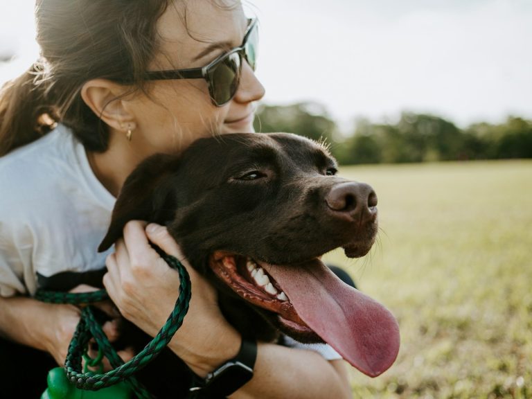 correa y collares para tu bella mascota , darle su capricho , es tu fiel amigo